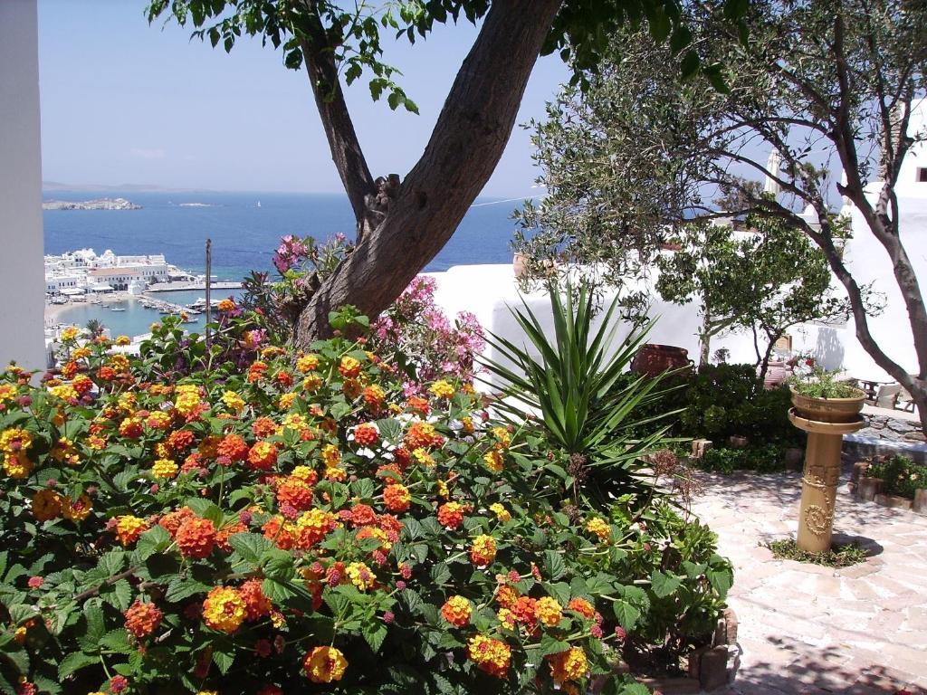 La Veranda of Mykonos Traditional Guesthouse Mykonos Town Exterior foto
